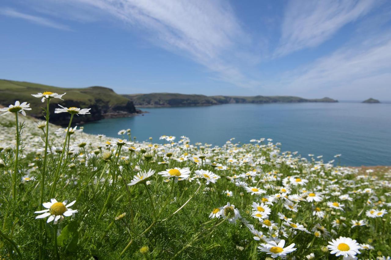 Tranquil Cornish Retreat Close To Port Isaac Beaches And Moor โบดมิน ภายนอก รูปภาพ