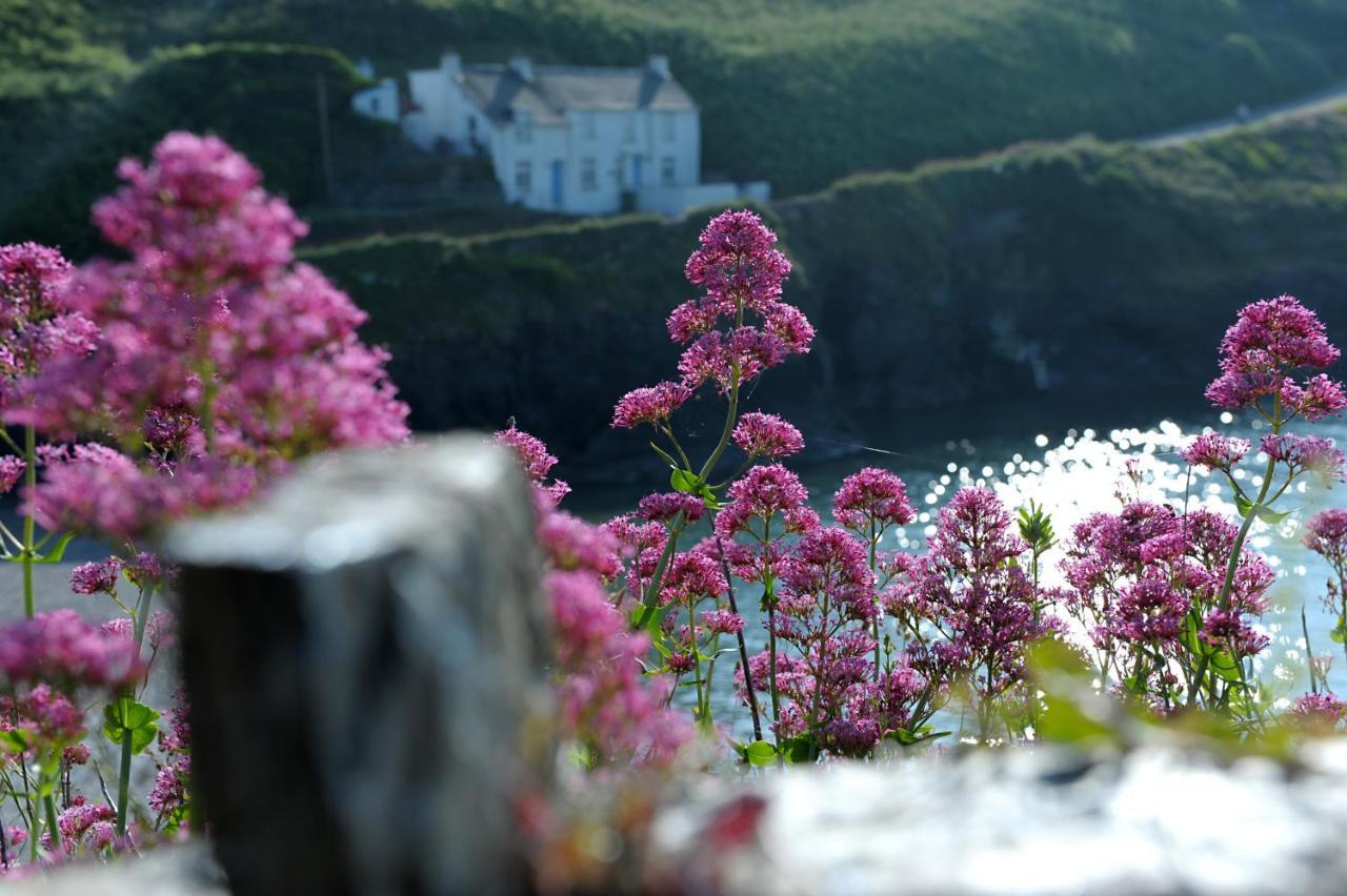 Tranquil Cornish Retreat Close To Port Isaac Beaches And Moor โบดมิน ภายนอก รูปภาพ